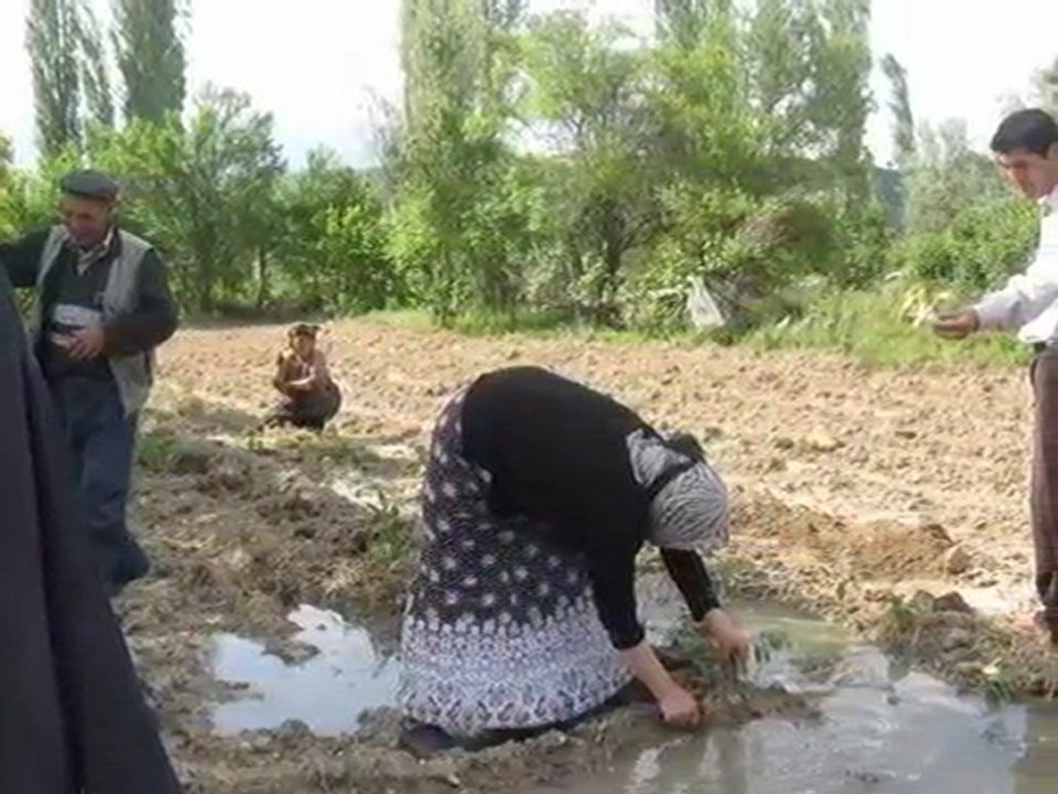 GÜNEY KÖYÜ YEREL WEB SİTESİ