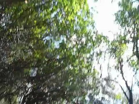 Rassemblement Team Asics 2010 Corse