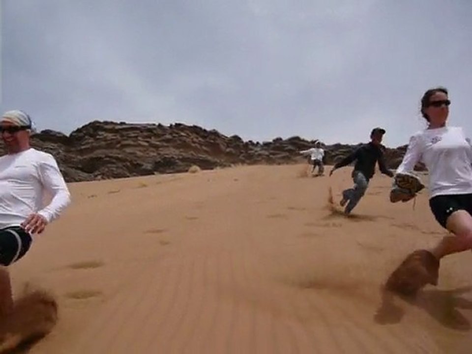 perseverance 2010 _1