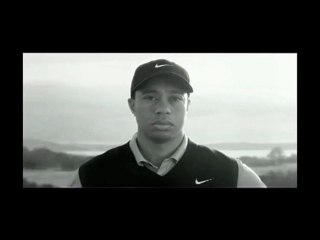 Homer Simpson Scolds Tiger