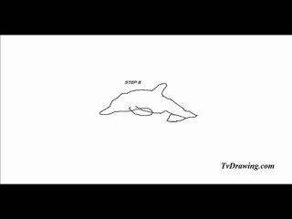 How To Draw a Simple and Easy Cartoon Dolphin Step by Step