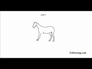 How to Draw a Simple Cartoon Zebra Head Easy Step by Step