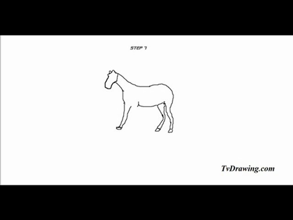How to Draw a Simple Cartoon Zebra Head Easy Step by Step