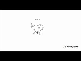How to Draw a Simple Cartoon Thanskgiving Turkey Easy Step b