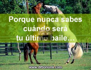 147 El video de rhonda byrne hizo famoso a el secreto,