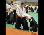 AIKIDO EPA ISTA EN HOLLANDE AVEC ALAIN PEYRACHE