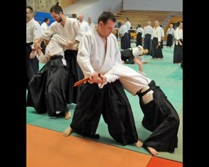 STAGE AIKIDO EN HOLLANDE AVEC ALAIN PEYRACHE SHIHAN