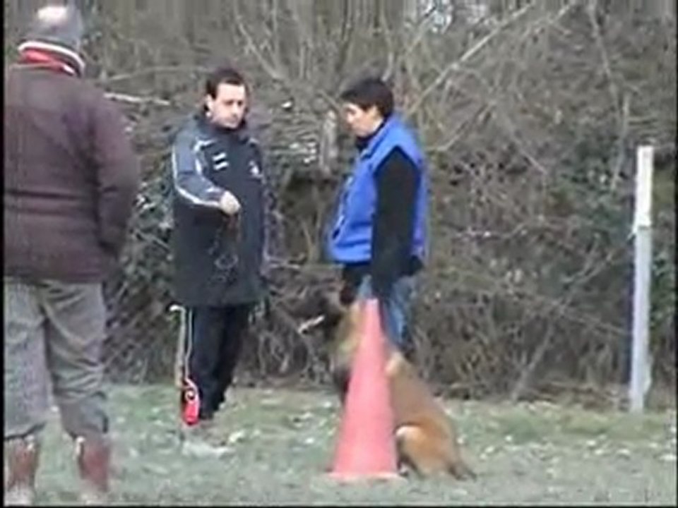 fronton 2010 ring 1