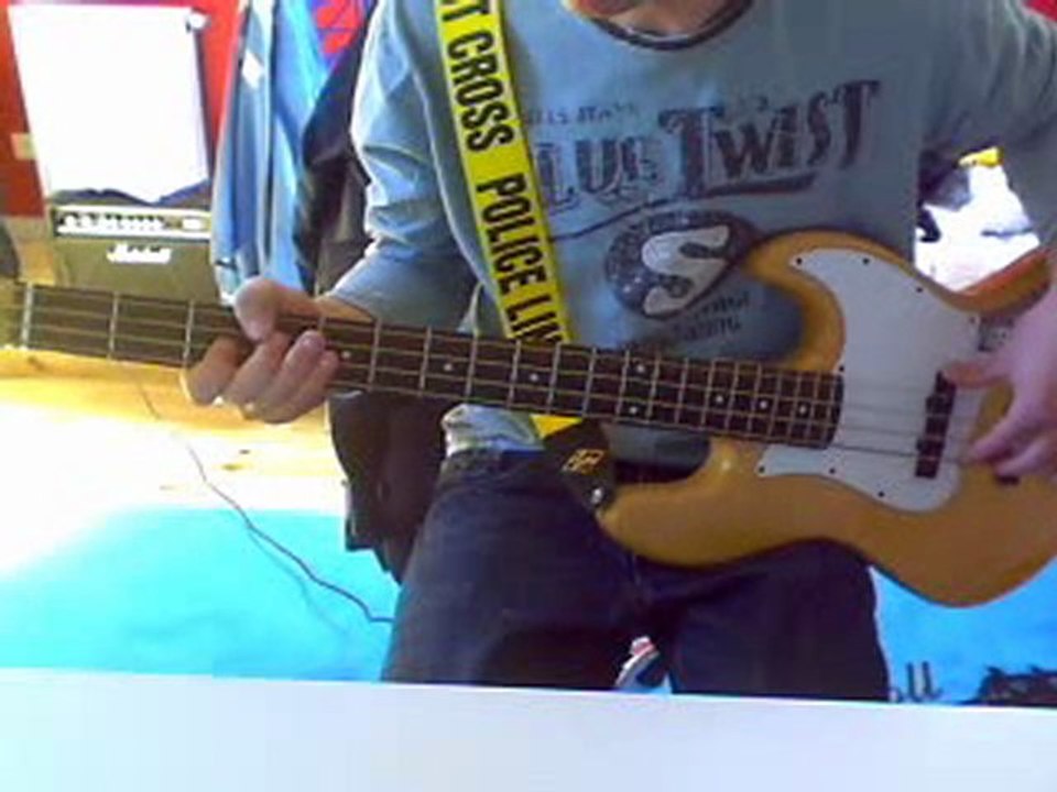 Red Hot Chili Peppers - She's Only 18 Bass Cover
