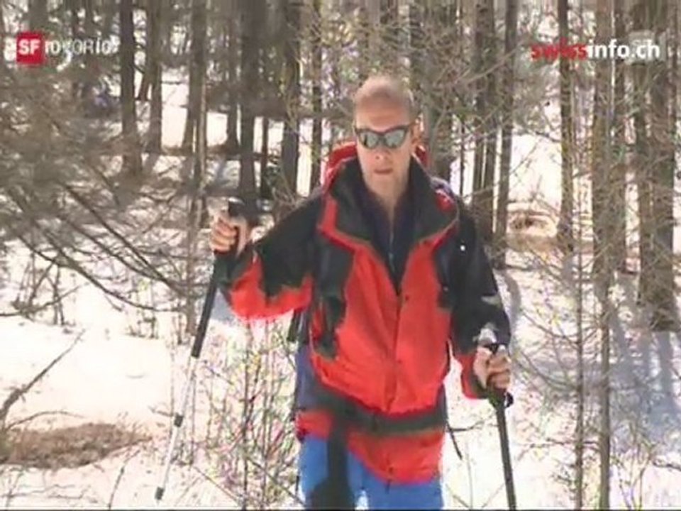 Environmentalists pressurise Swiss government to ban heli...