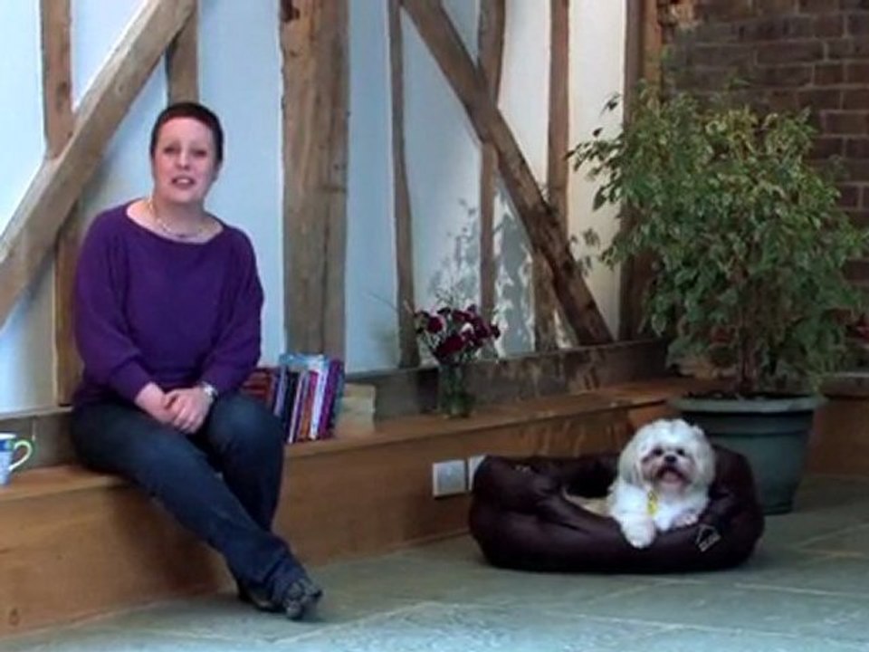 Dog Training Made Easy: Teach a dog recognise their name