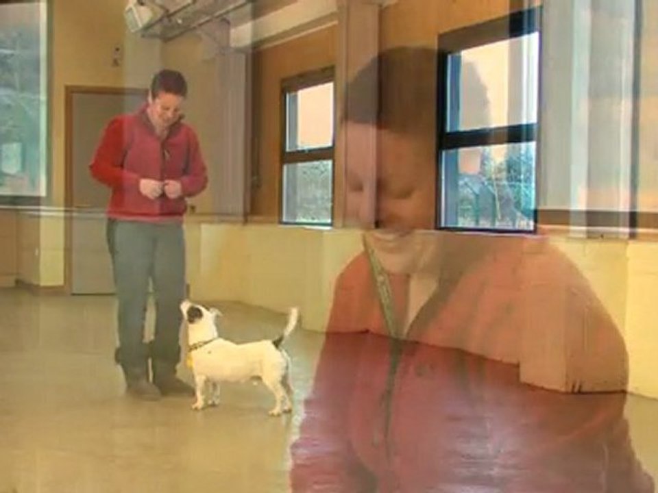 Dog Training Made Easy: Coming back when called