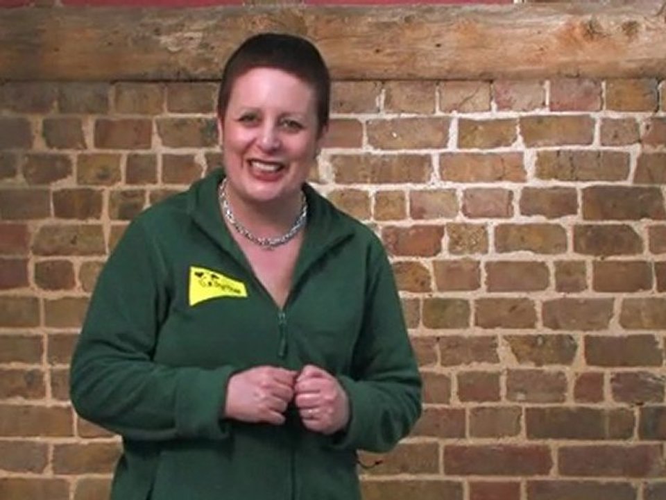 Dog Training Made Easy: Stay