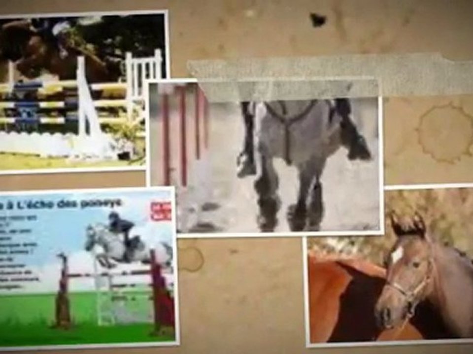 Le poney et le magazine L'écho des poneys