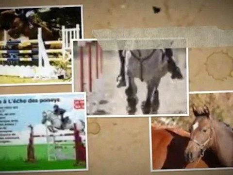 Le poney et le magazine L'écho des poneys