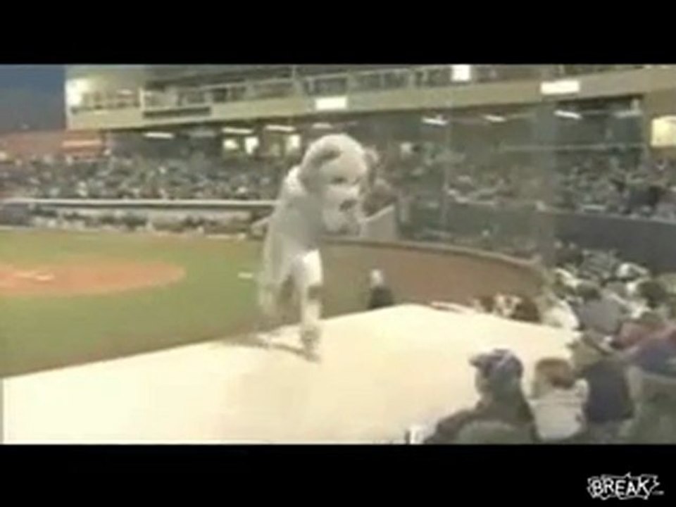 Mascot Falls Off Dugout Video