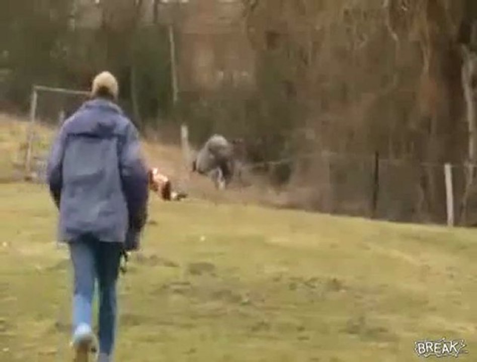 Kid Slips Off Roof And Crashes To The Pavement Video