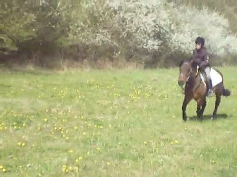 marion sur polisson conre laurianne sur rêverie