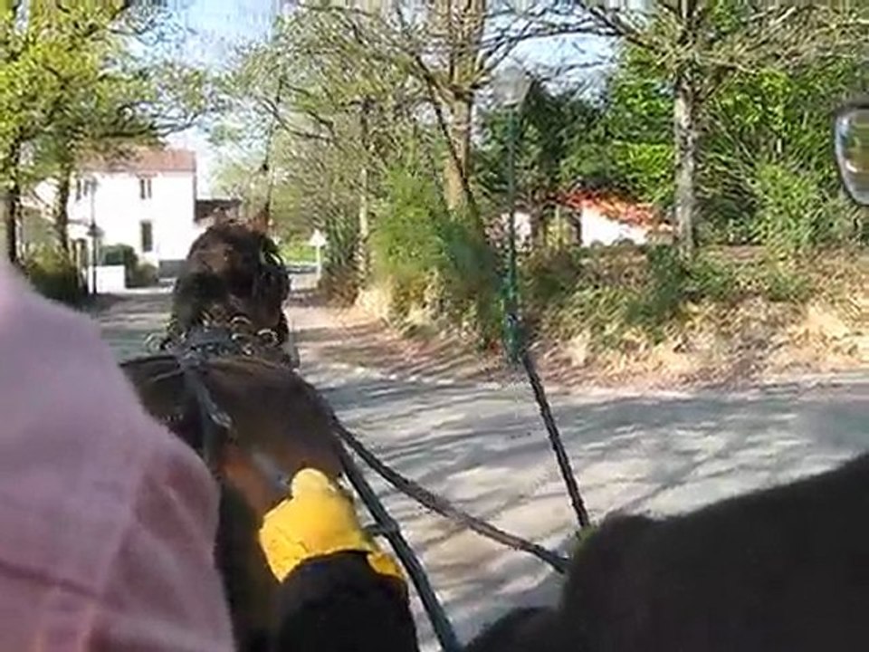 toureg à l'attelage suite