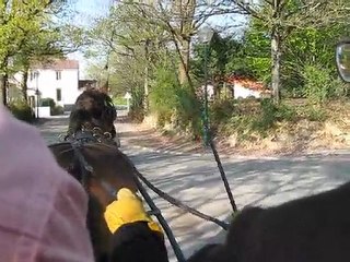 toureg à l'attelage suite