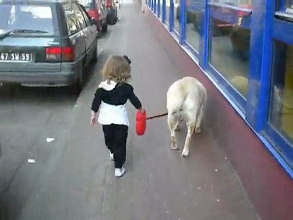 jayden promene chanelle