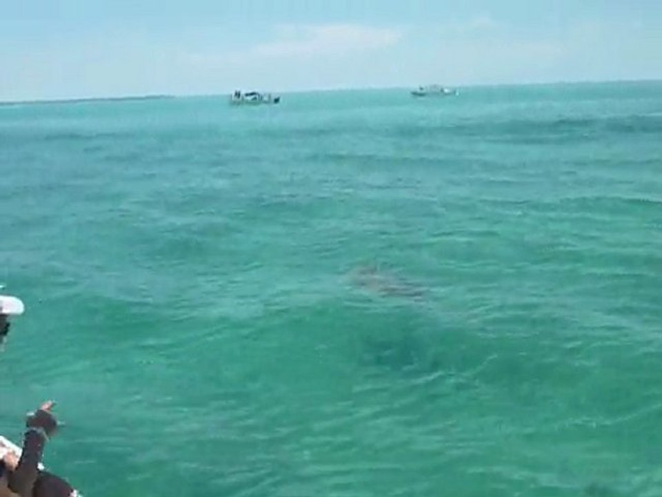 P1050754 V Reserve Sian Ka'an