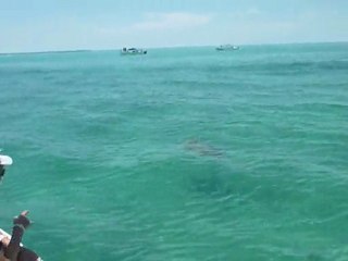 P1050754 V Reserve Sian Ka'an