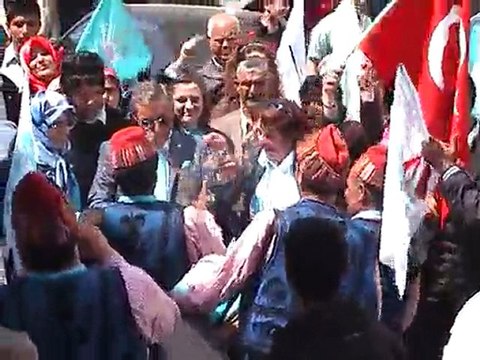 Türkiye Partisi Gelibolu Teşkilatı