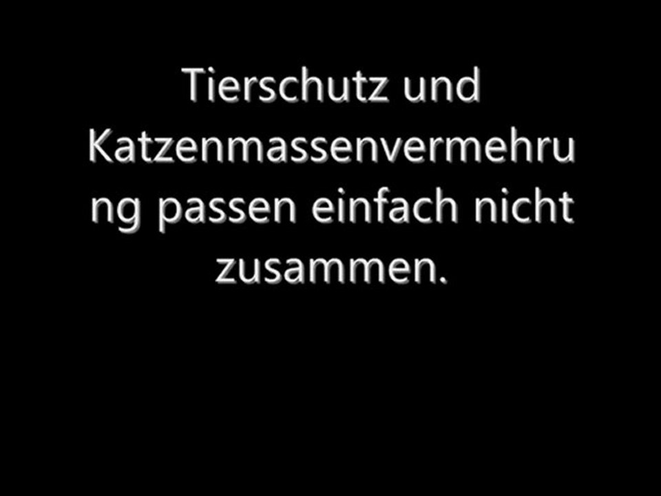 Katzenzüchter muss man nicht mehr haben