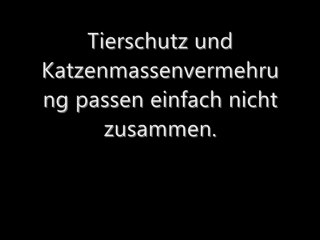 Katzenzüchter muss man nicht mehr haben