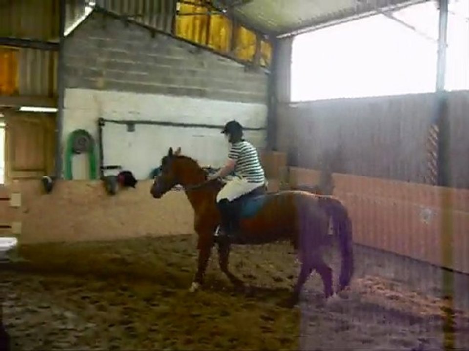 Galop + Saut avec Dict , Stage SHUC 23 Avril 2010