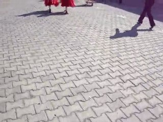 23 Nisan Taşhan Ateş Böceği