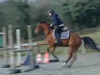 joyau d'or 21 février 2010