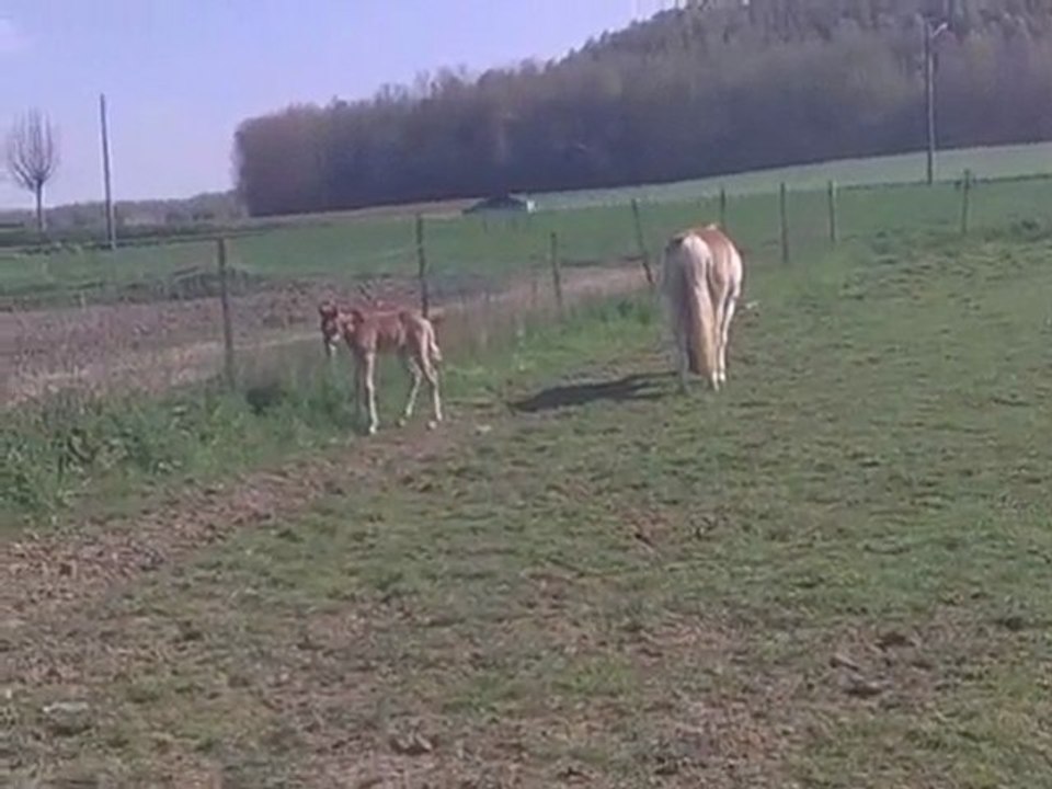 20 éme jours de vie de spirit