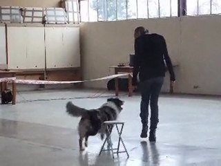 concour 2 eme passage