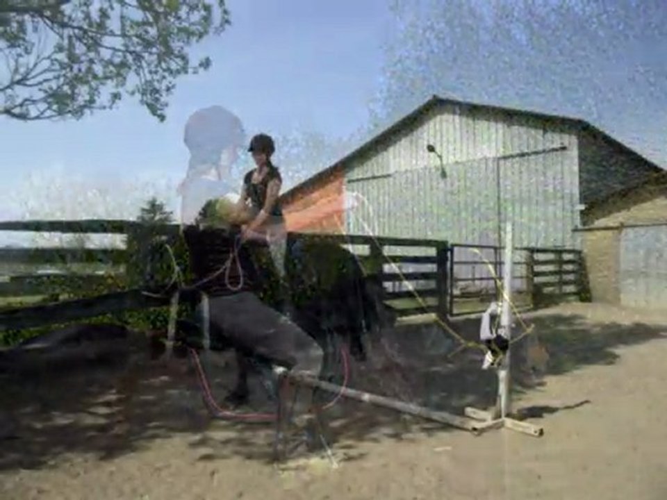 Séance saut avec Lewis