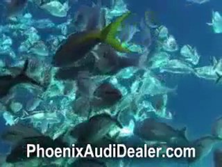 4 Things You Want to Know When Looking for Online Car Insura