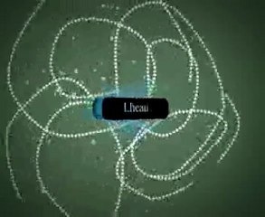 Intro - After effect