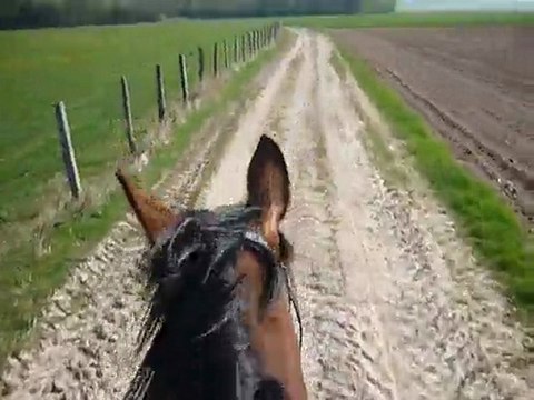 24 avril 2010 - Balade - au pas