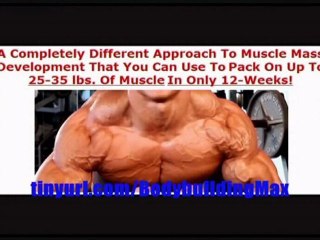 Comprehensive Bodybuilding Workout Guide - Step by Step 3