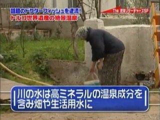 The Gyakuryu Researchers 2010.03.22 Doctor Fish