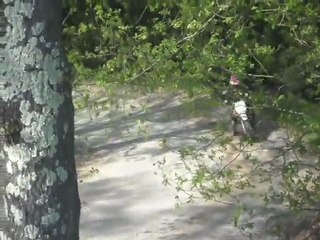 passage d'antoine en dirt