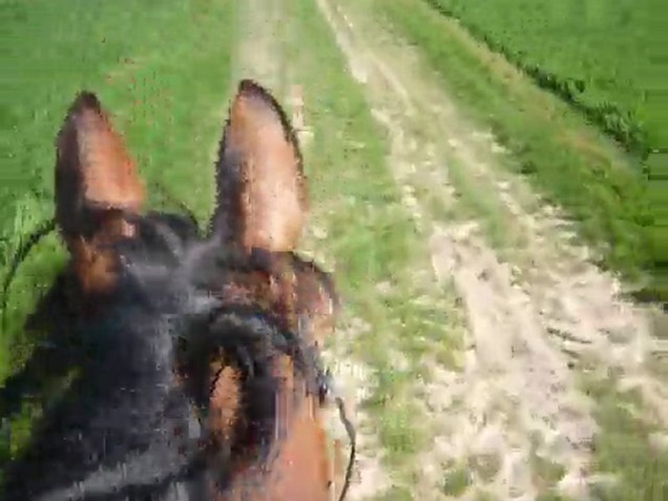 24 avril 2010 - Balade - au trot