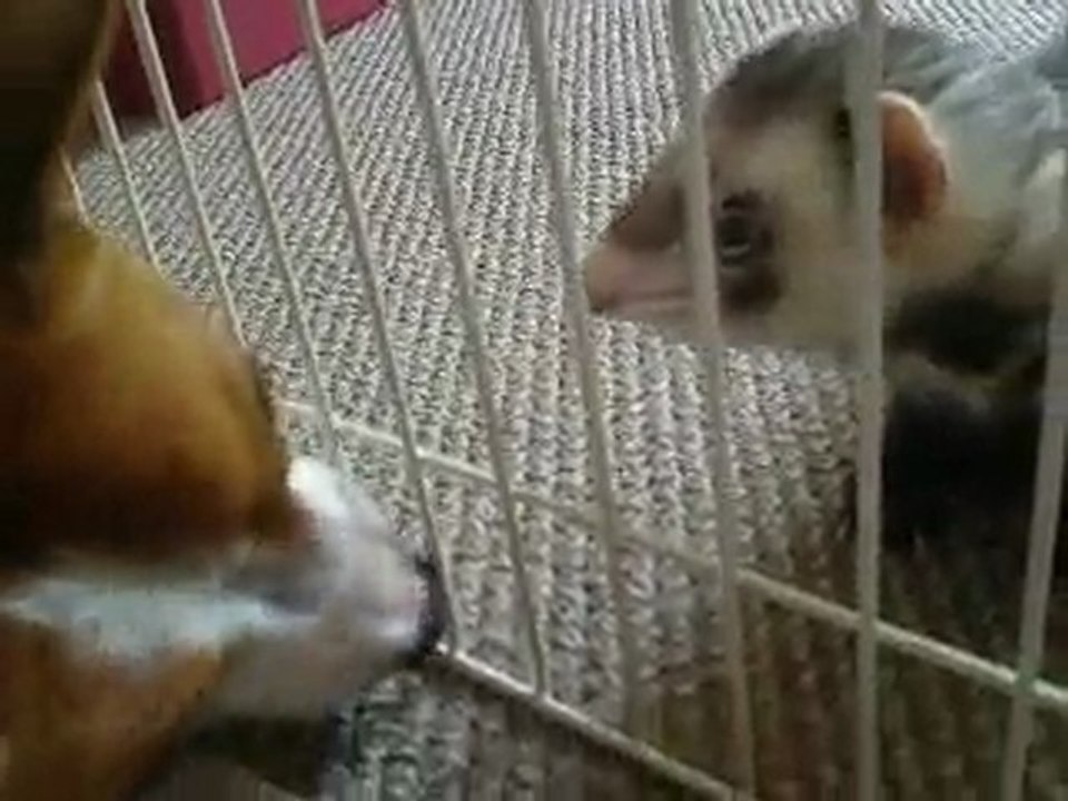 Marley et Eliott