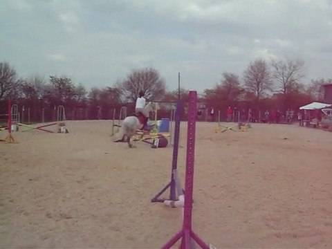 Pauline & Pépite CSO