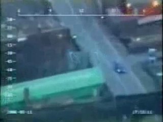 Le chien policier de régis