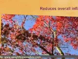 The Super Food Acai Berry And Weight Loss