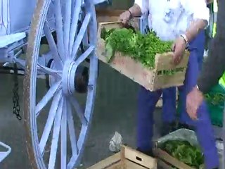 Record du monde d'attelée Chateaurenard 18 avril 2010