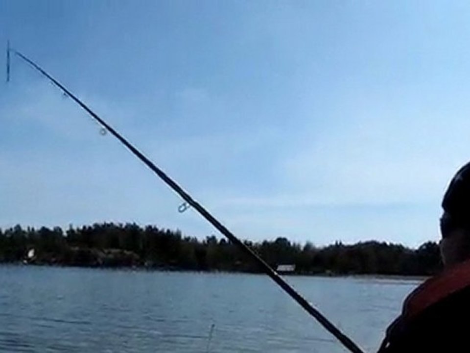 WHITEFISH FAKO & DOGAN AVI 24.04.2010