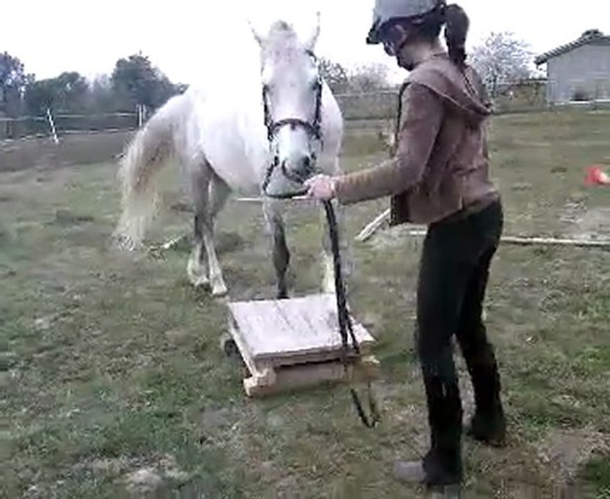 jambette